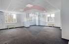 SPATIU COMERCIAL 80 MP OPEN SPACE CU GRUP SANITAR | GREEN CENTER ITC - 5