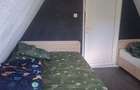 Cabana Tip A, 100 mp, zona Teisani - Slanic - 3