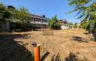 TEREN 490 MP | CREMENITA