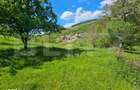 Teren extravilan, 90 ha, padure si faneata, zona Inuri - 1