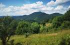 Proprietate de vanzare in sat Barbura, judetul Hunedoara 37.500 mp