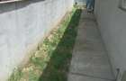 Particular, inchiriez casa 3 camere sos Chitilei - 4