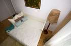 Chirie apartament 2 camere ultracentral - 14
