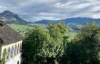 Casa MUSCELEANA , stil Conac , cu livada , teren intravilan- 2 000 mp. - 2