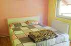 Casă cu 9 camere cu Teren 1029 Mp în Obârșia-Cloșani - 10