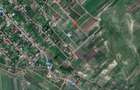 Teren 2954 m2 Rosiori intravilan - 1