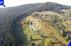 Teren extravilan de 3197 mp, în Frasin - 7 Teren extravilan de 3197 mp, în Frasin - 7