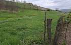 Vand teren sat Ghilanesti com Cristesti Botosani 5400 m2 - 6