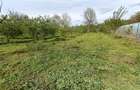 Teren intravilan de 2400 mp, în Priboiu (Tătărani) - 10