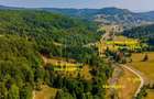 Teren de 6000 mp, în Dălghiu - 14