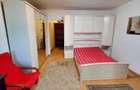 Inchiriez apartament cu o camera aproape de Iulius Mall - 6