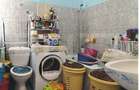 Apartament cu 5 camere decomandat în Iosefin - 11