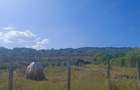 Teren intravilant Ionesti, toate utilita?ile, solarii ?i pomi fructiferi - 5