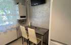 De inchiriat apartament cu 2 camera, etaj 1, Banat - 7