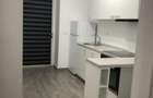 Apartament de inchiriat cu terasa si acces la curte confort si lin - 9