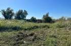 Teren de 3300 mp, în Central - 5