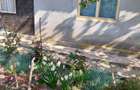 Vand casa ( teren 2.000 mp) in sat Pietrele, jud. Giurgiu - 3
