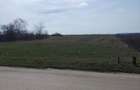 Teren intravilan de vanzare, 15500 m2, Localitatea Dascalu, Jud. Ilfov - 4
