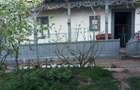 Vand casa batraneasca + teren generos 1700 mp | Malul Ro?u, comuna Arma?e?ti, jud. Ialomi?a - 4