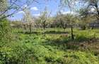 Casa 3 cam. + anexe, teren 2000mp, drum asfaltat Barcanesti(Ialomita) - 1