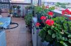 Apartament tip penthouse, 3 camere, singur pe etaj - 1
