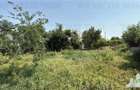 Casă cu Teren 828 Mp în Cernica - 4