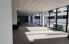 Spatiu comercial, 330 mp, open space, Corneliu Coposu - 2
