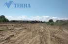 Teren intravilan 7.500 mp | DN73 | 4 km de Dacia Mioveni - 2