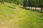 Teren Intravilan 1000mp | Drum ASFALTAT | MAGURI | PANORAMA - 4
