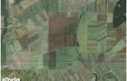 HUB Energetic & Agricol: 50 Ha Compacte | Direct A2 | Fundeni,Calara?i - 2