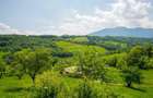 Teren intravilan de 5495 mp, în Bran - 35