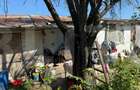 Casă cu Teren 280 Mp în Theodor Pallady - 2