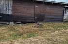 grajd, cabana din lemn - 3