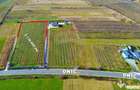 Teren de vanzare -DE LA 110.000 Euro la 99.000 Euro - Somcuta Mare (Maramures) - 3