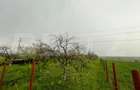 Teren intravilan, 4447 mp, 28 ml deschidere, Pielesti - 1