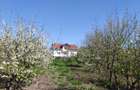 Vând teren și casa - 9