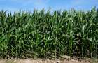 Teren agricol extravilan de 8700 mp, în Exterior Nord - 1