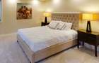 Apartament cu 4 camere decomandat în Theodor Pallady - 7