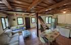 !! OCAZIE !! Proprietar | Casa de vacanta de vanzare Insula Mures - 6
