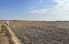 Teren de vanzare in Dragomire?ti-Vale, Ilfov 10.000 m ,