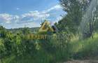 Teren intravilan Baia Sprie 815 mp - 7