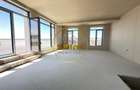 Penthouse de vanzare 242 mp totali Hils - 1