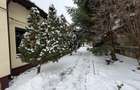 Vilă interbelică și teren 684 mp zona Viilor/Parcul Carol