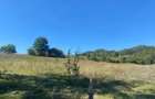 Vand teren comuna Cepari, jud. Arges - 1