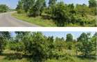 Teren cota parte 1/3 Cocorastii Mislii, ID: R2949920 - 3