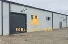Hala industriala + sere + active business de vanzare Arges - 4