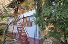 Casa P+M, zona Traian, Nicolae Titulescu - 15