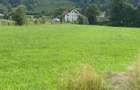 Teren Frasin 6000 m2 - 8