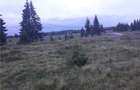 Teren in zona Belisului ptr. Cabana, pensiune, etc. la 5 km de lac si partia de schi Maris el - 5