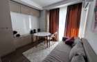 Apartament tip studio de inchiriat in Cosmopolis - 6